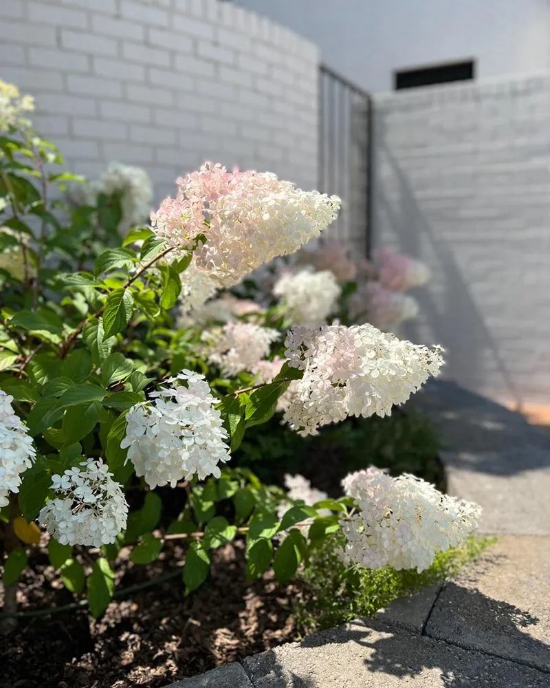 Local outdoor landscaping in Denver, CO - Stonegate Gardens