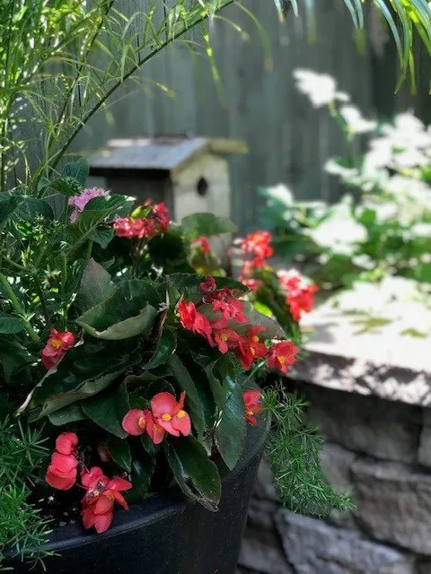 Custom lawn care service in Denver, CO by Stonegate Gardens