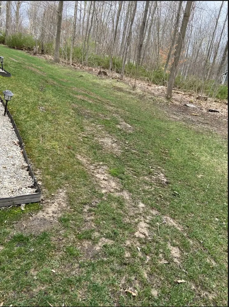 Expert landscape design experts serving New Braunfels, TX - StoneHaven Landscaping & Management