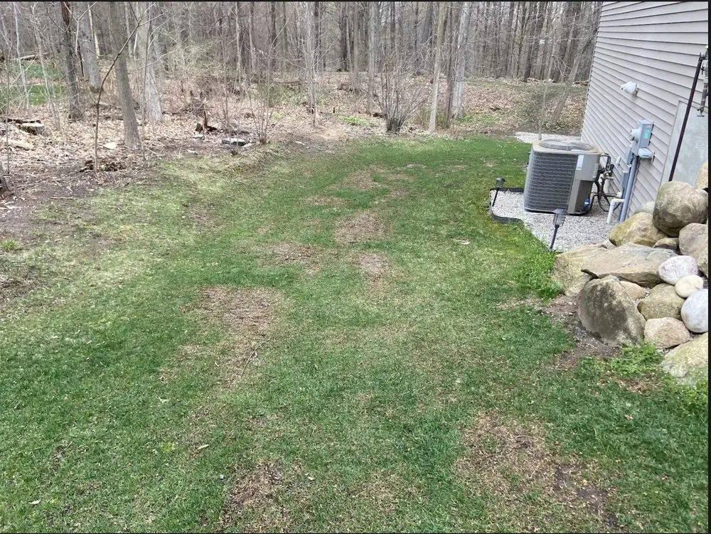 Local residential landscaping in New Braunfels, TX by StoneHaven Landscaping & Management