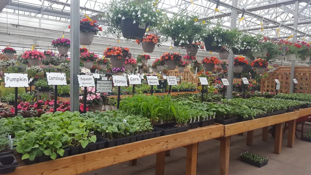 Expert outdoor landscaping in Newington, CT - Stonehedge Landscaping & Garden Center