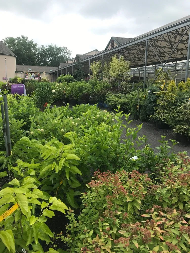 Custom lawn care service in Newington, CT by Stonehedge Landscaping & Garden Center