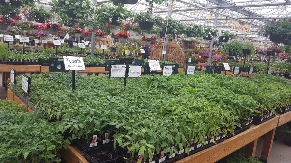 Trusted lawn mowing service experts serving Newington, CT - Stonehedge Landscaping & Garden Center