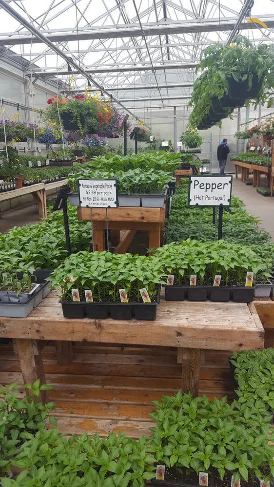 Expert yard maintenance near you in Newington, CT by Stonehedge Landscaping & Garden Center