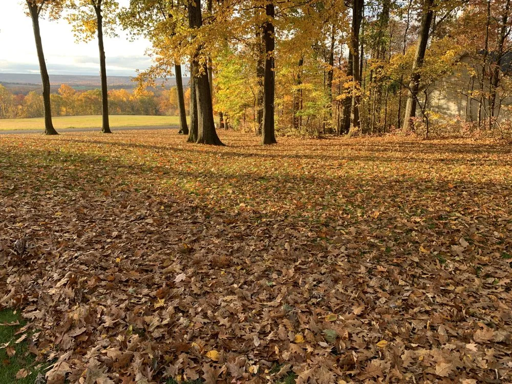 Affordable residential landscaping near you across Bernville, PA - Stonehedge Landscaping Services