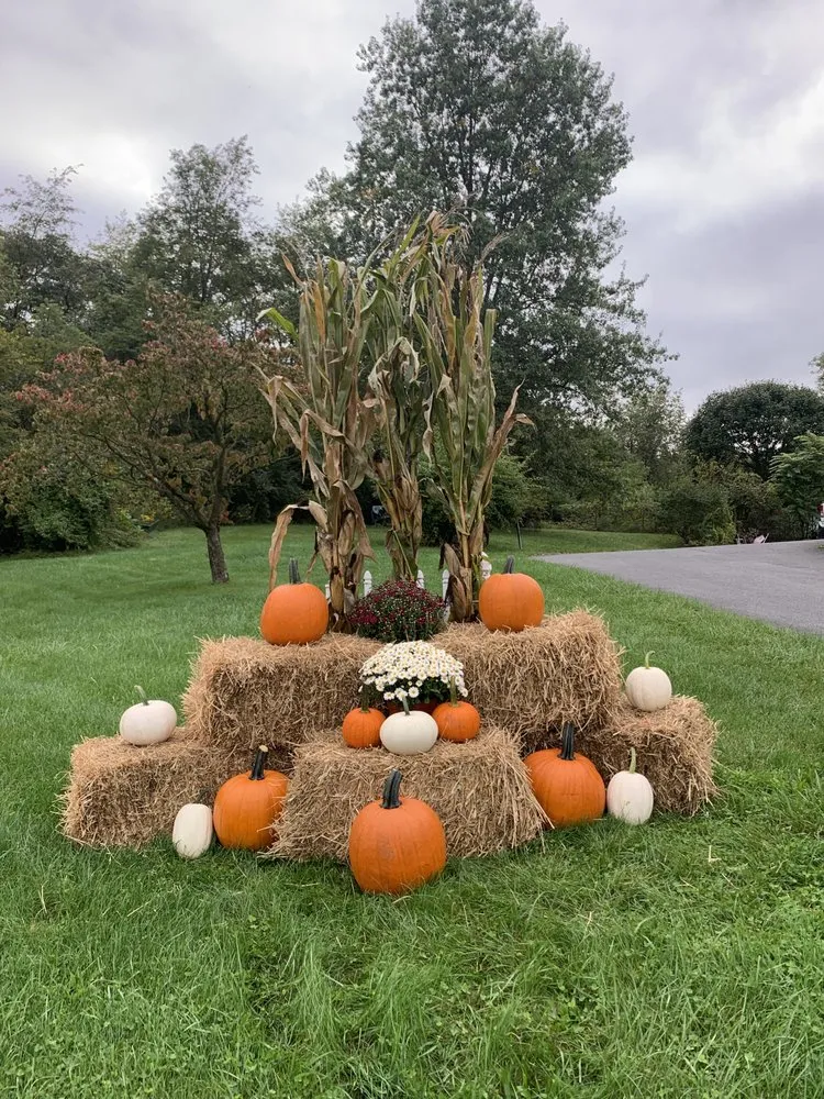 Custom lawn care service for outdoor upgrades in Bernville, PA by Stonehedge Landscaping Services