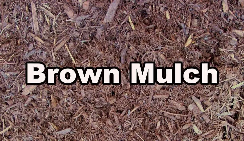 Professional lawn care service near you in Old Orchard Beach, ME by Stonehenge Hardscapes