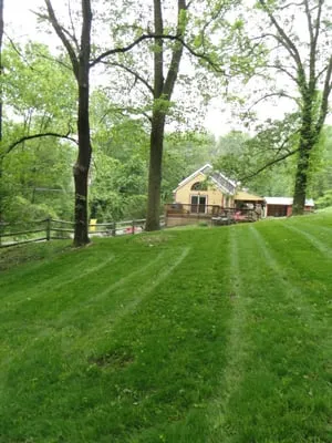 Stonehouse Services Logo