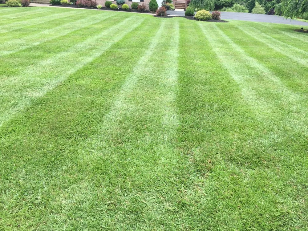 Affordable residential landscaping experts serving Forest Hill, MD - Stoneridge Lawn & Landscaping