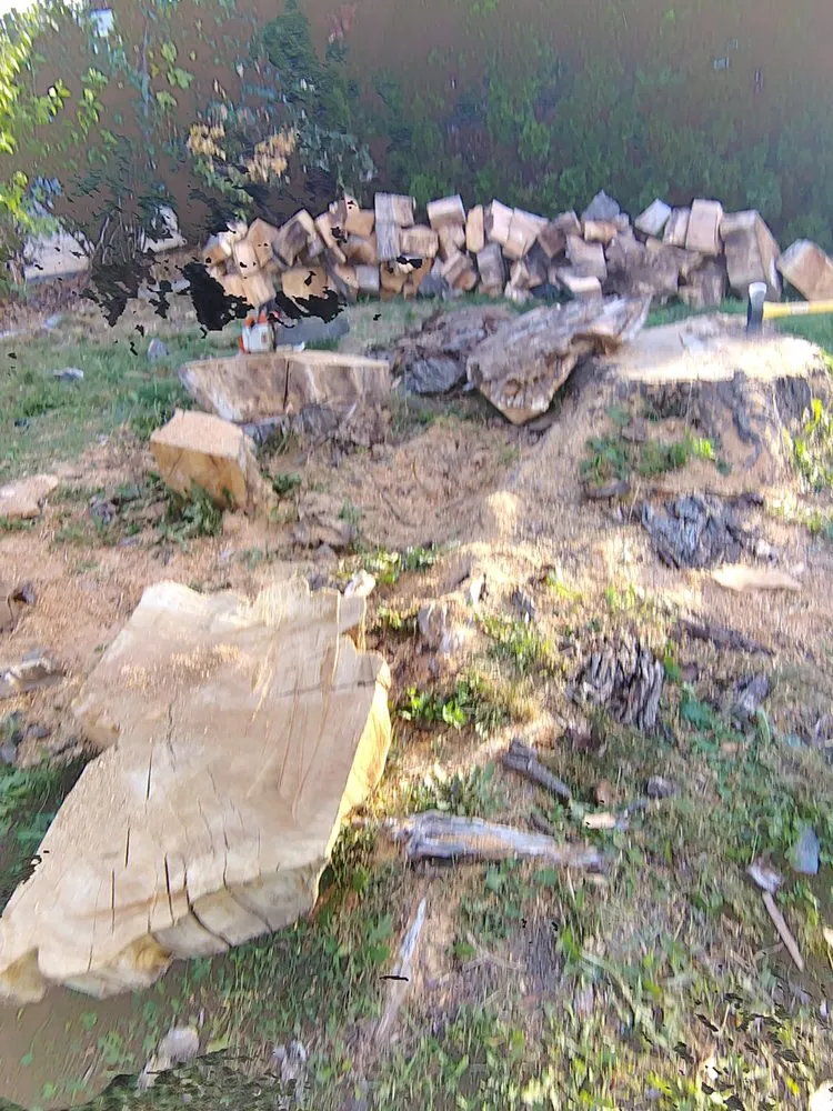 Professional yard cleanup service experts serving Kennewick, WA - Stone's Handyman