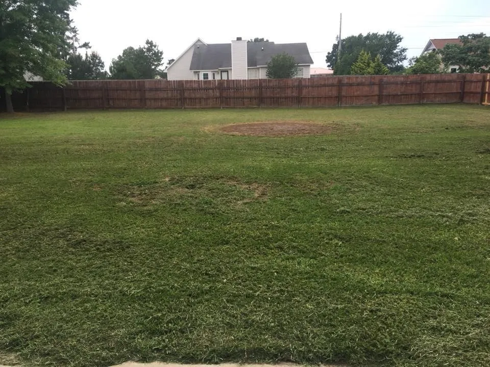 Professional landscape design near you in Fayetteville, NC by Stones Home Improvement and Lawn