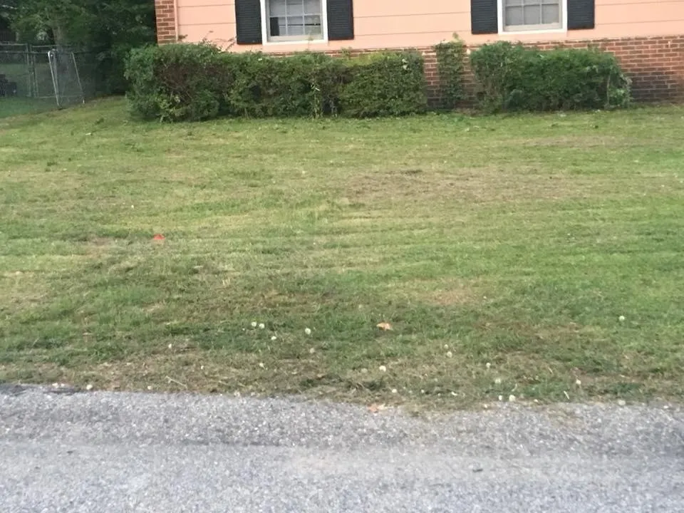 Local lawn mowing service experts serving Fayetteville, NC - Stones Home Improvement and Lawn
