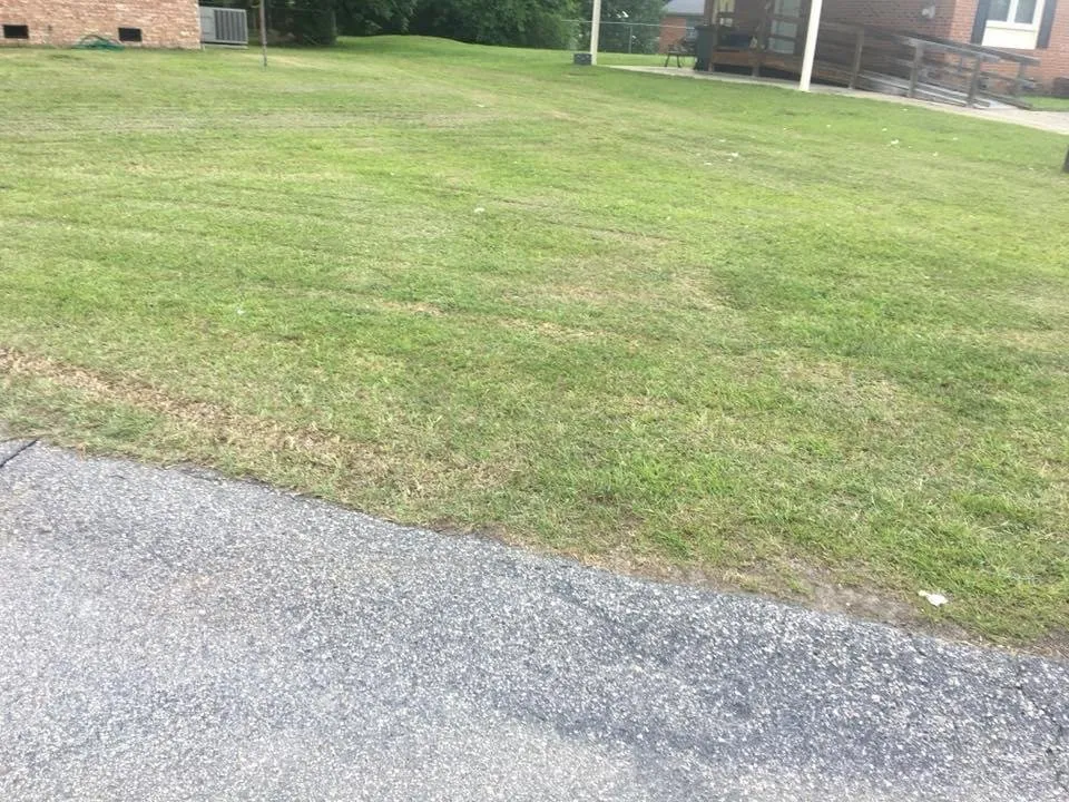 Top-rated outdoor landscaping in Fayetteville, NC - Stones Home Improvement and Lawn