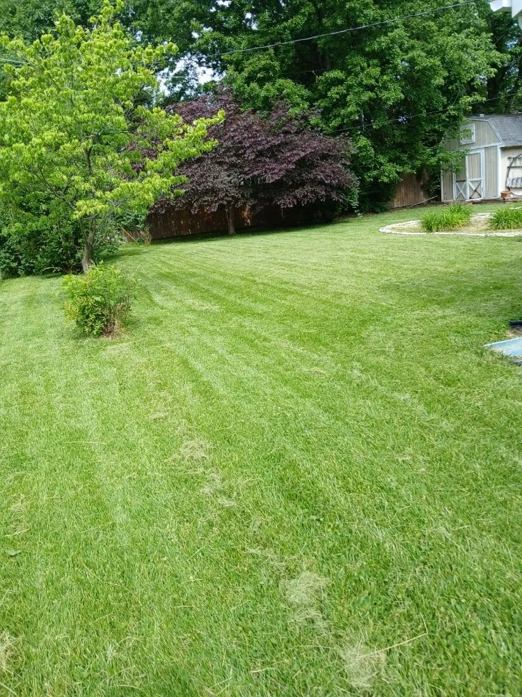 Custom yard maintenance in Ofallon, IL - Stone's Interior Painting and Flooring