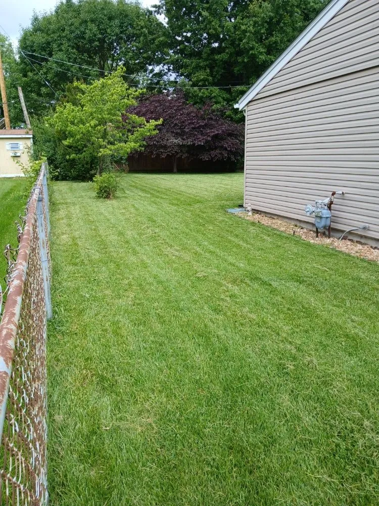 Expert yard cleanup service in Ofallon, IL - Stone's Interior Painting and Flooring