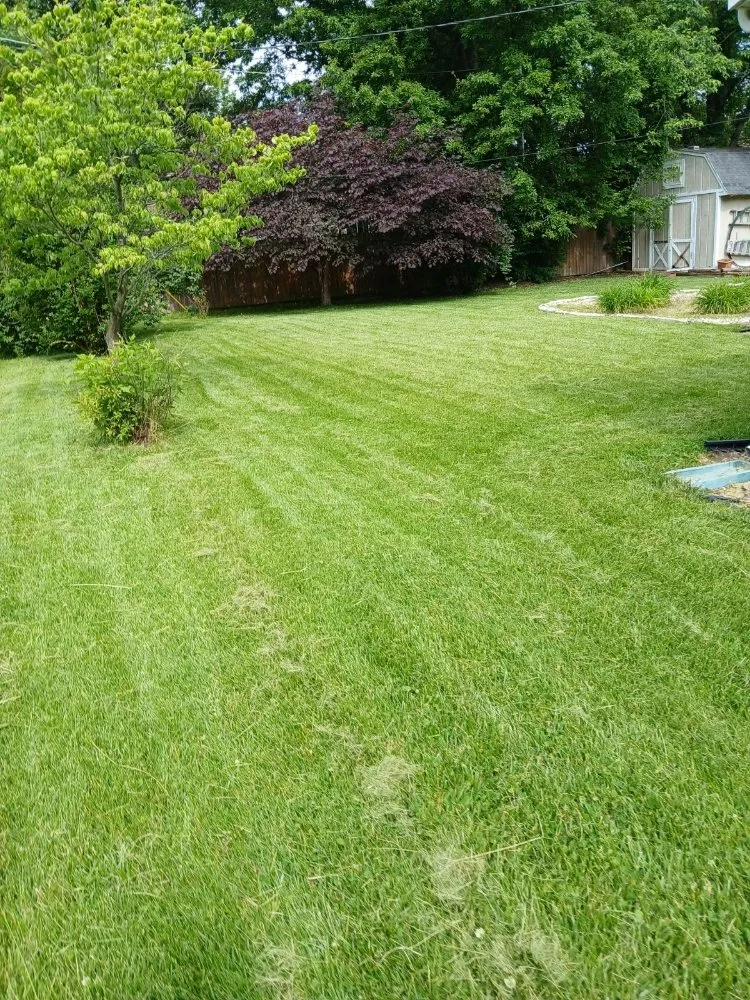 Local landscape installation experts serving Ofallon, IL - Stone's Interior Painting and Flooring