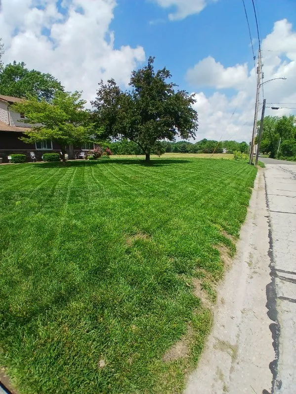 Affordable garden landscaping in Ofallon, IL by Stone's Interior Painting and Flooring