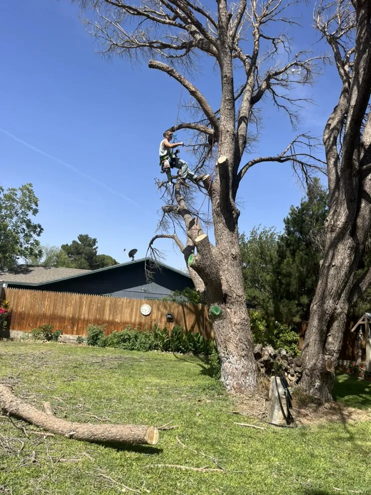 Custom landscape design for homes in Midland, TX by Stones Lawn & Tree