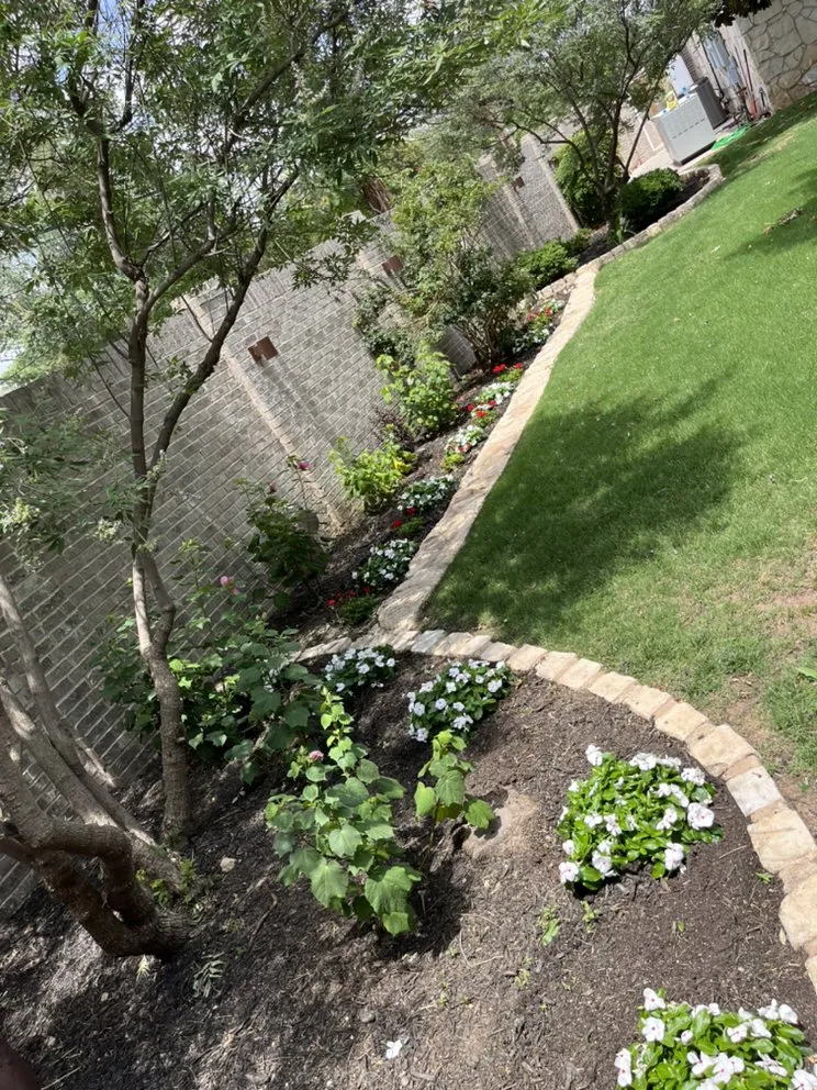 Professional lawn care service in Midland, TX - Stones Lawn & Tree