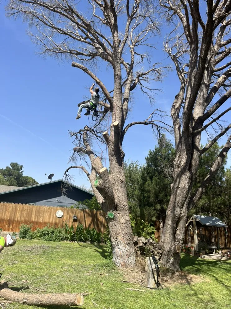 Expert outdoor landscaping with custom design in Midland, TX by Stones Lawn & Tree