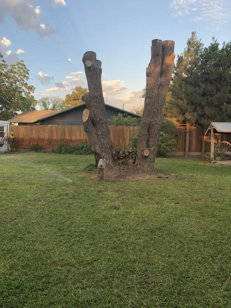 Custom landscape installation in Midland, TX by Stones Lawn & Tree