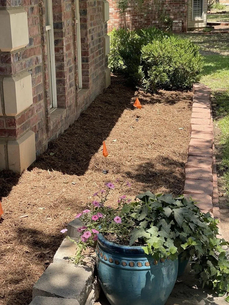 Custom yard cleanup service in Midland, TX by Stones Lawn & Tree