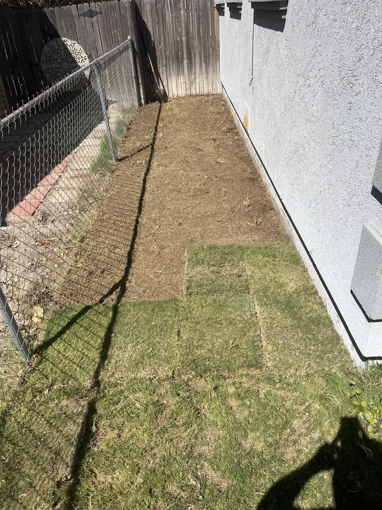 Professional landscape design in Midland, TX by Stones Lawn & Tree