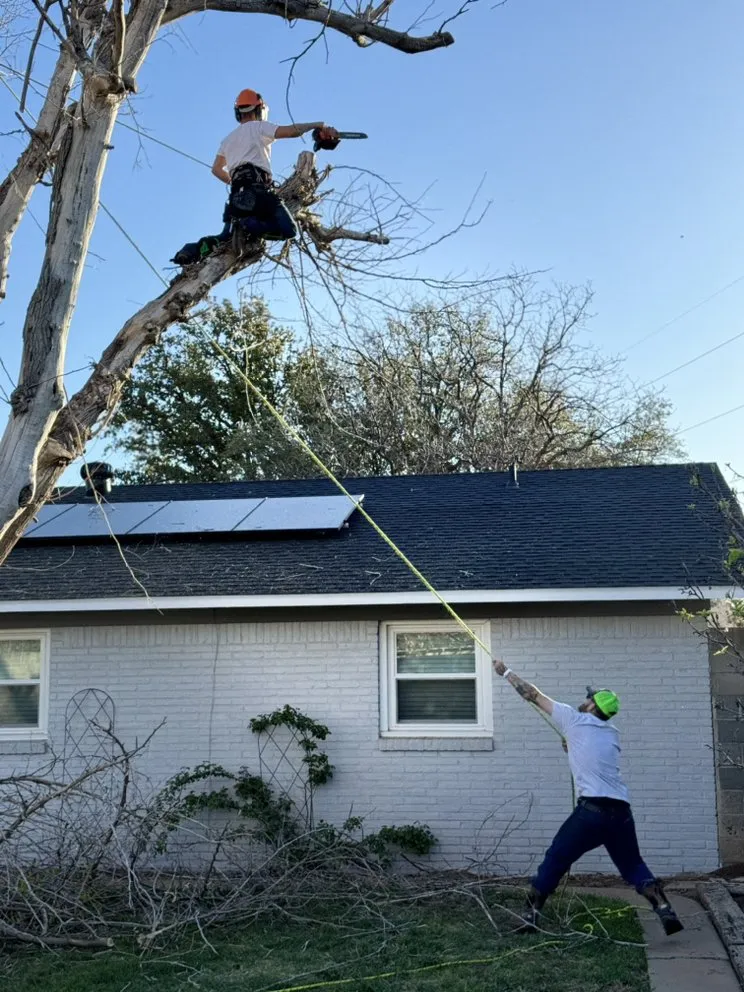 Expert lawn care service for outdoor upgrades in Midland, TX by Stones Lawn & Tree