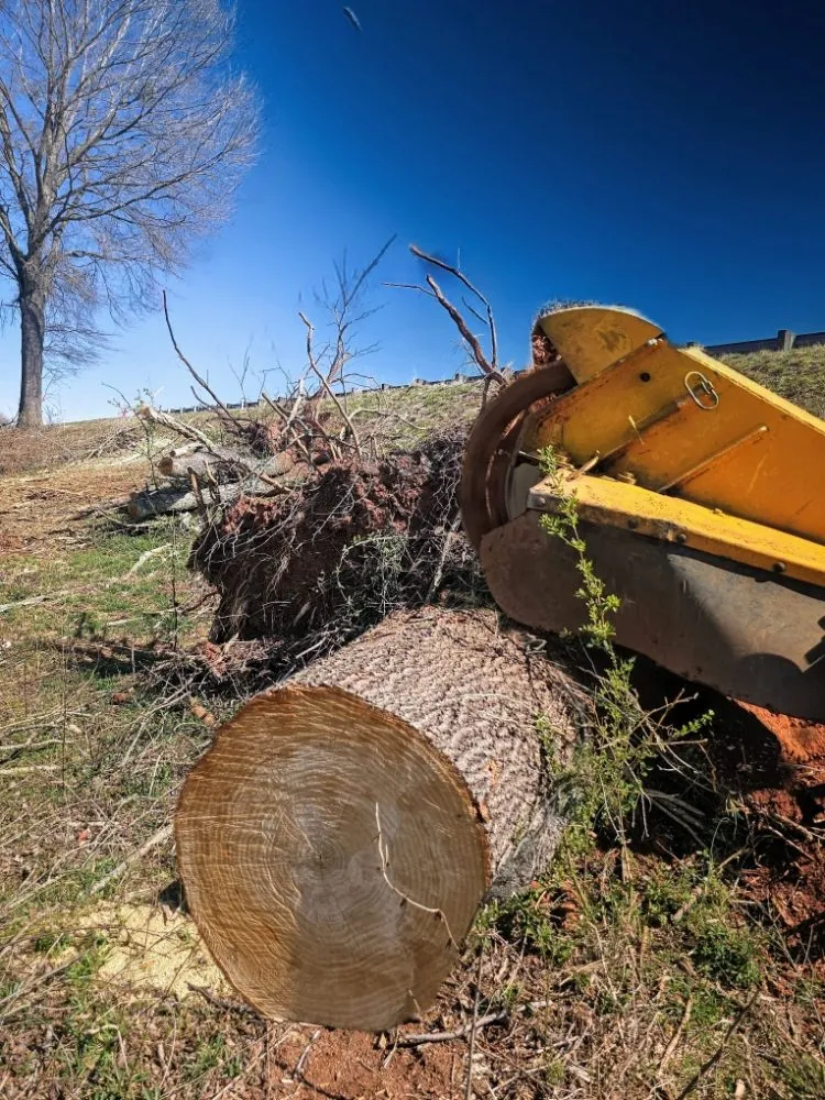 Custom lawn care service for outdoor upgrades in Taylors, SC by Stone's Stump Grinding
