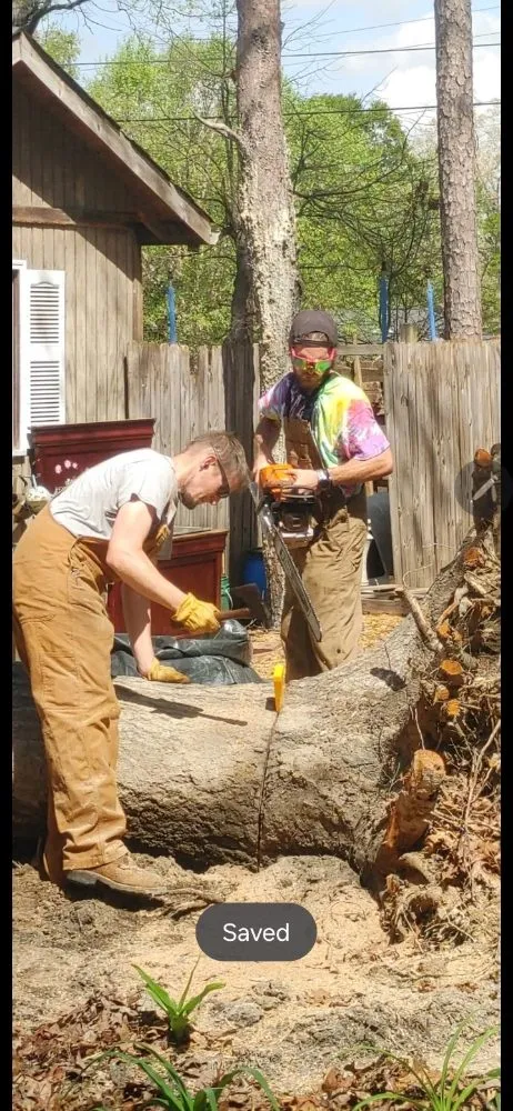 Reliable landscaping services in Taylors, SC - Stone's Stump Grinding