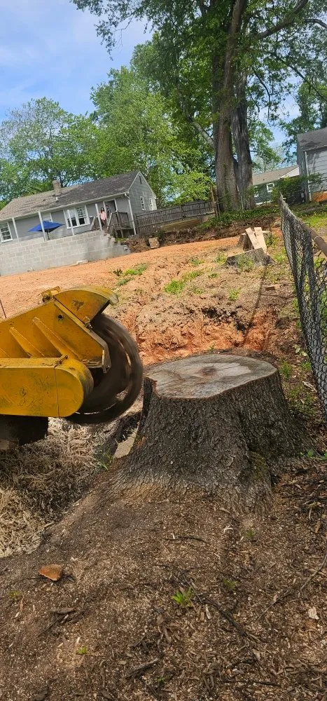 Top-rated outdoor landscaping experts serving Taylors, SC - Stone's Stump Grinding