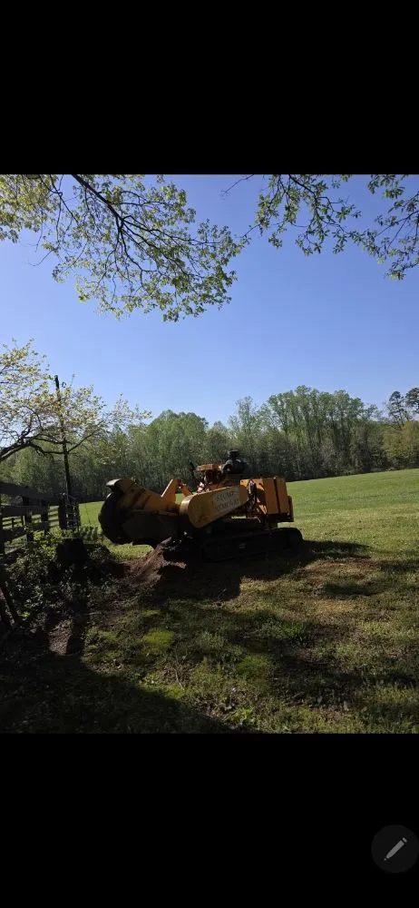Trusted garden landscaping in Taylors, SC - Stone's Stump Grinding