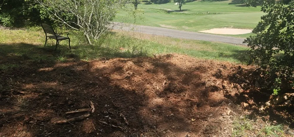 Local yard maintenance for residential properties across Taylors, SC - Stone's Stump Grinding