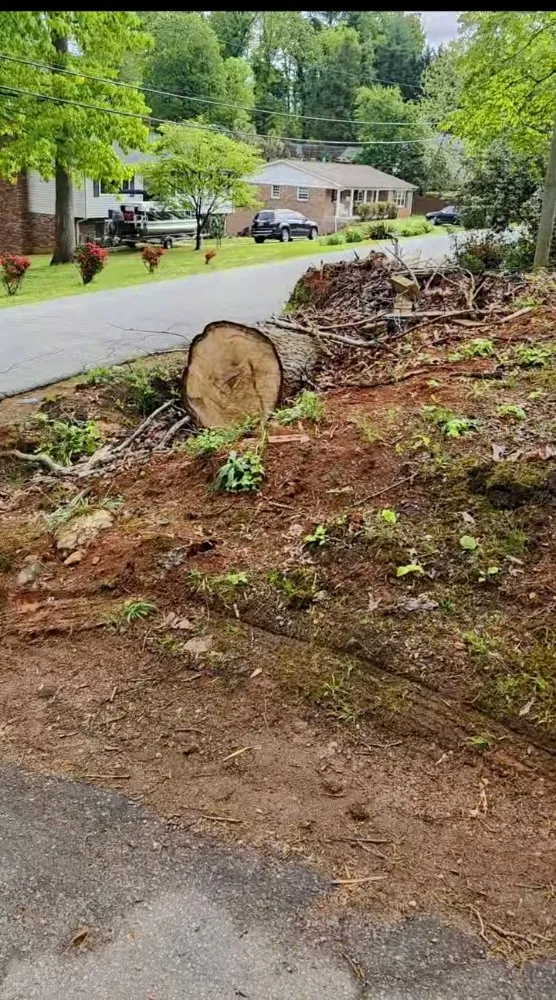 Reliable landscape design for homes in Taylors, SC by Stone's Stump Grinding
