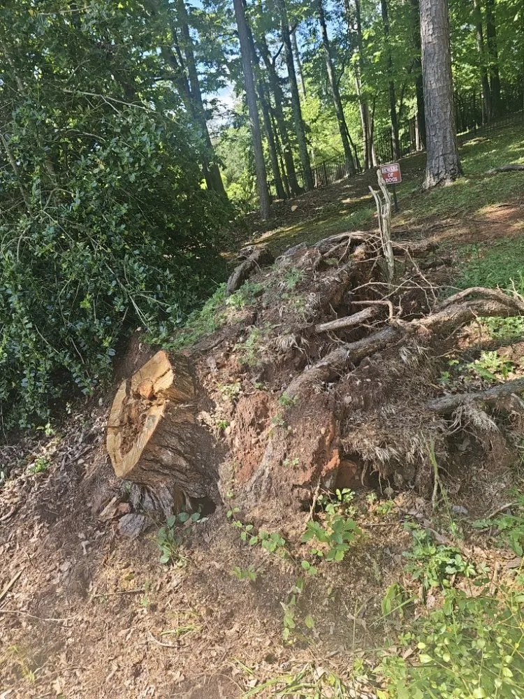Local garden landscaping in Taylors, SC by Stone's Stump Grinding