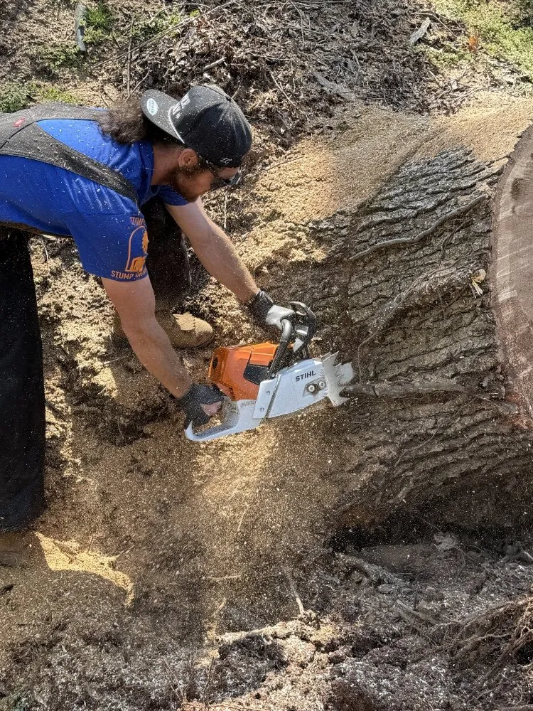 Affordable yard maintenance in Taylors, SC by Stone's Stump Grinding
