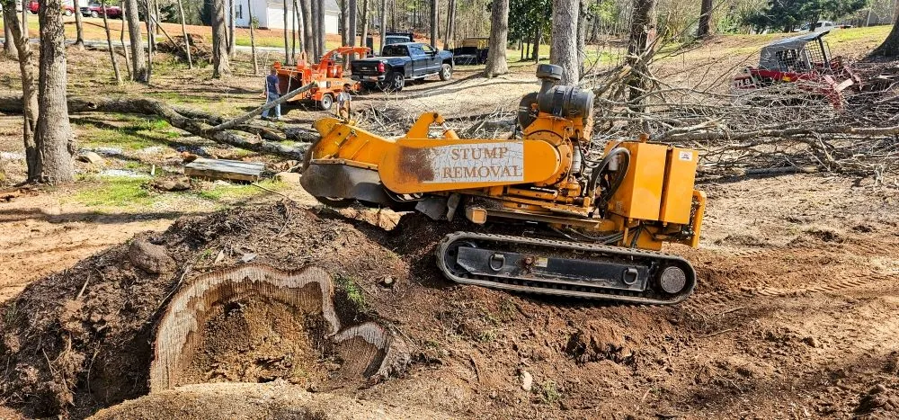 Top-rated landscape design for beautiful yards across Taylors, SC - Stone's Stump Grinding