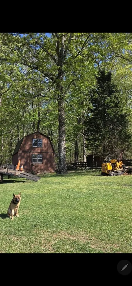 Affordable residential landscaping experts serving Taylors, SC - Stone's Stump Grinding