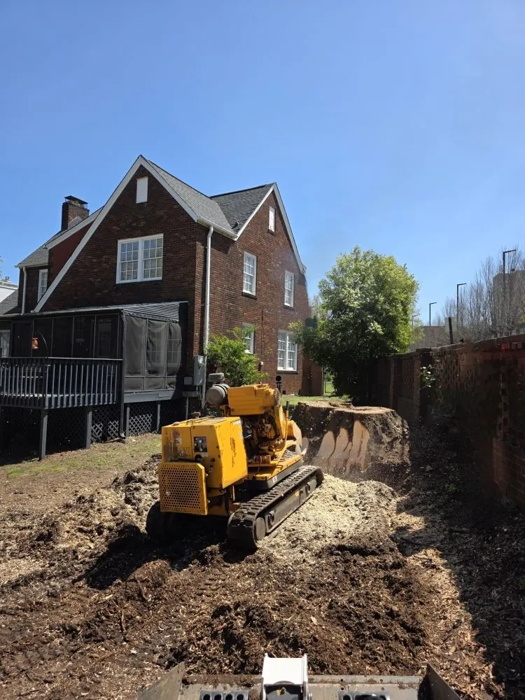 Expert yard cleanup service in Taylors, SC by Stone's Stump Grinding