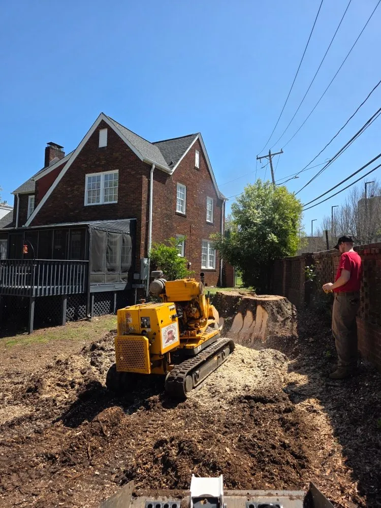 Local residential landscaping in Taylors, SC - Stone's Stump Grinding