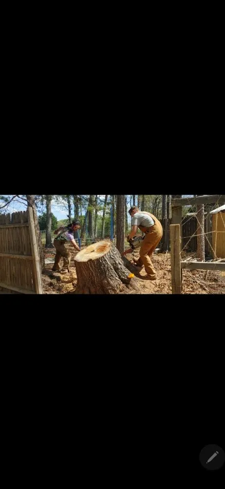 Expert lawn mowing service experts serving Taylors, SC - Stone's Stump Grinding