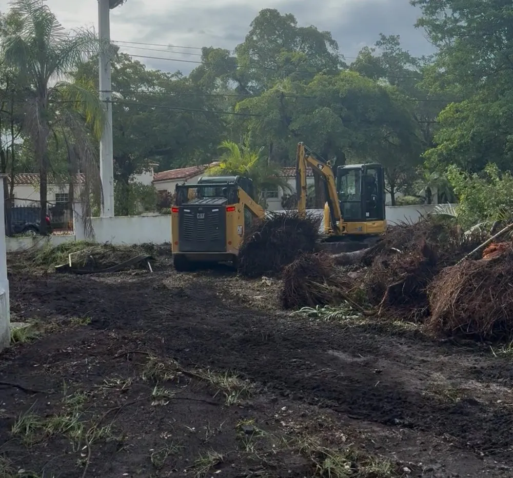 Expert yard maintenance experts serving Miami, FL - Stones Throw