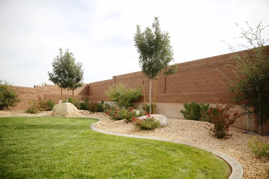 Professional yard cleanup service in St George, UT by STONETREE