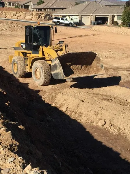 Professional yard cleanup service experts serving St George, UT - STONETREE