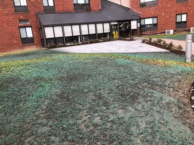 Professional yard maintenance experts serving Stoughton, MA - StoneView Construction & Landscape