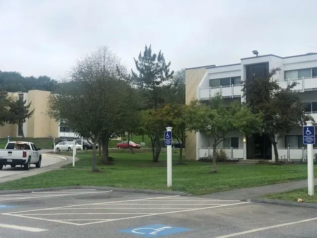 Expert garden landscaping for outdoor upgrades in Stoughton, MA by StoneView Construction & Landscape