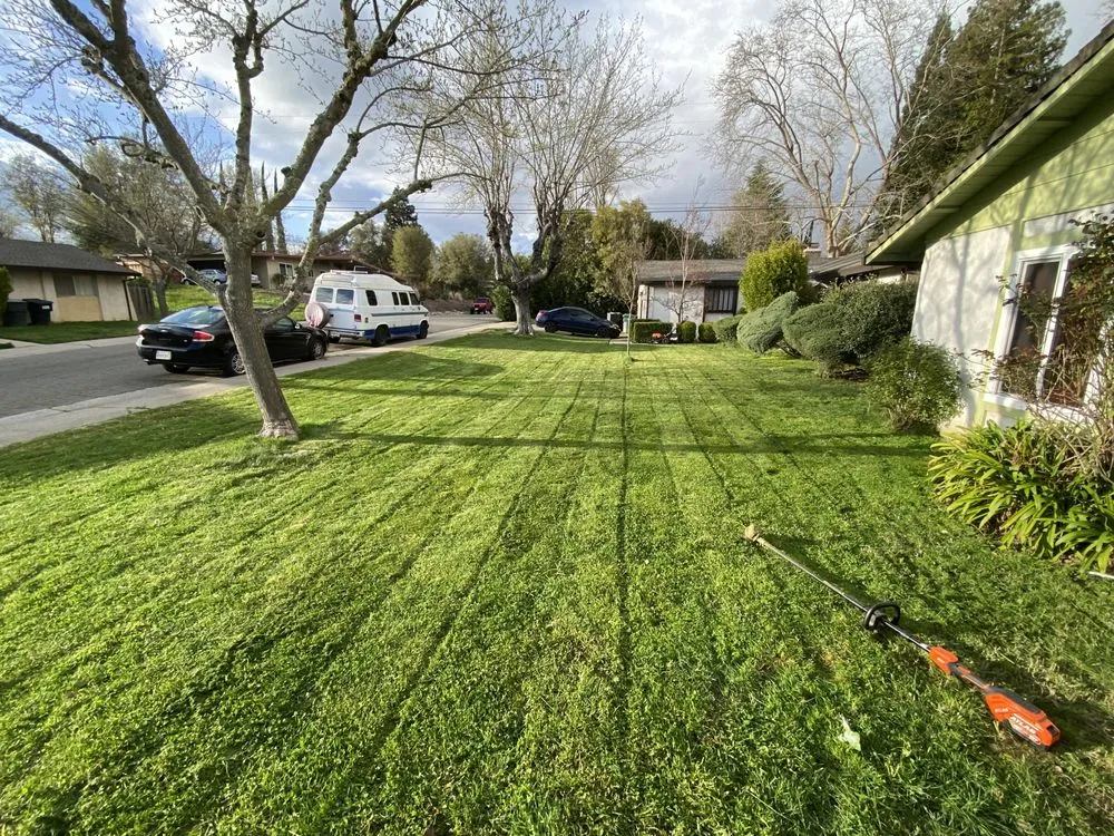 Local residential landscaping near you in Fair Oaks, CA by Stoneview Landscaping