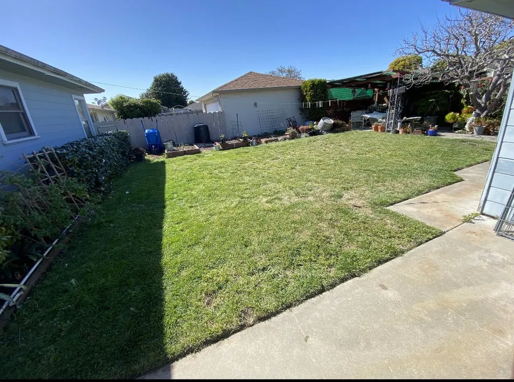 Professional yard maintenance with custom design in Fair Oaks, CA by Stoneview Landscaping