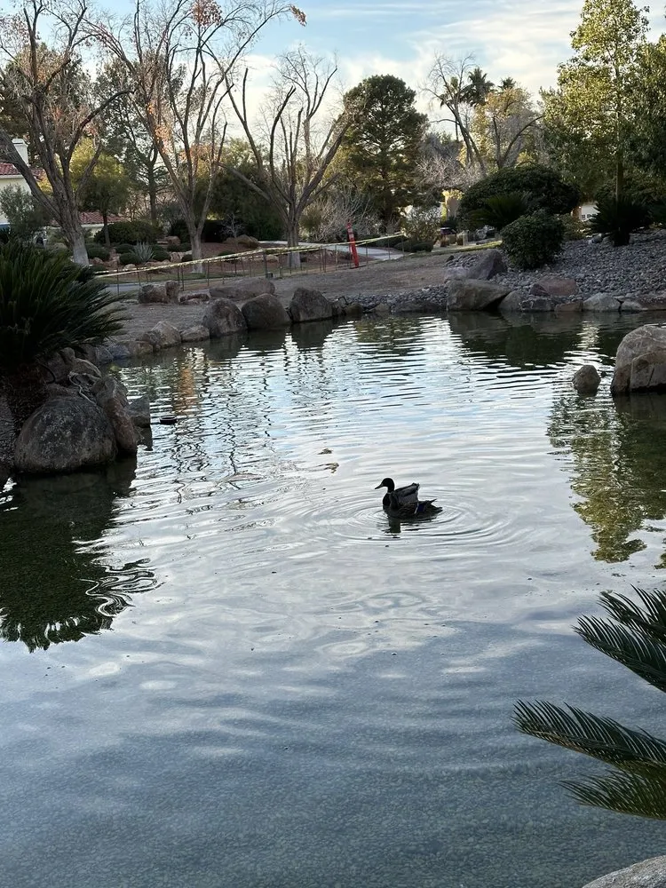 Trusted outdoor landscaping experts serving Las Vegas, NV - Stonewall Creek