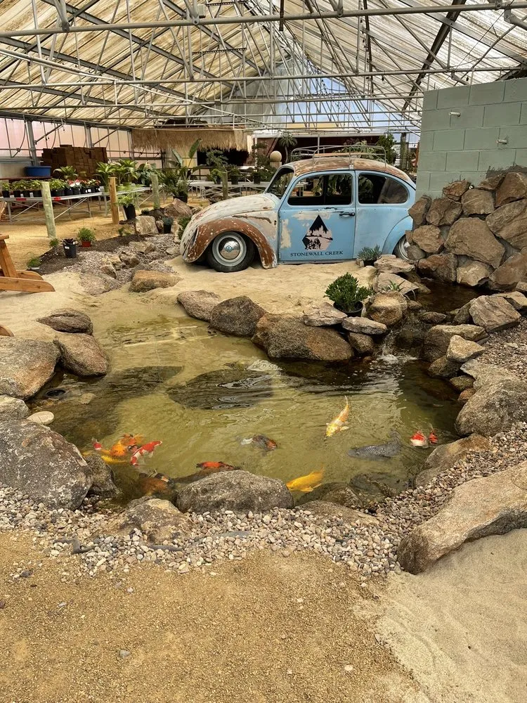 Reliable yard cleanup service experts serving Las Vegas, NV - Stonewall Creek